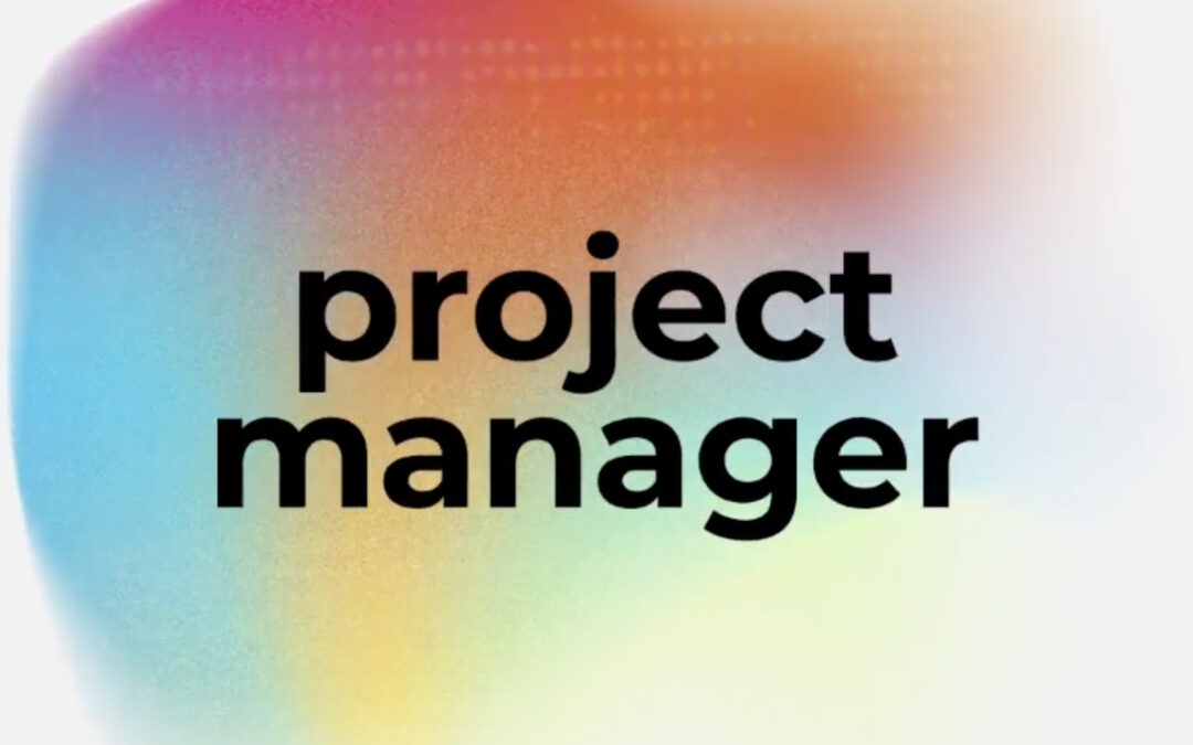 Project Manager (m/v/x)